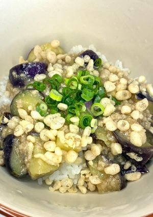 レンジで簡単なすにんにくポン酢トロトロそぼろあん-レシピのメイン写真