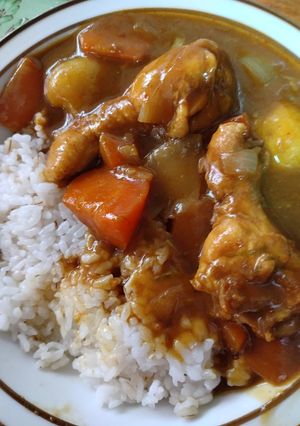 カレールウで手羽元でカレー-レシピのメイン写真