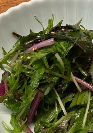 カラフル水菜×塩昆布 一夜漬け-レシピのメイン写真