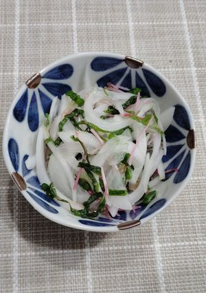 新玉ねぎとさくらかいわれの酢の物-レシピのメイン写真