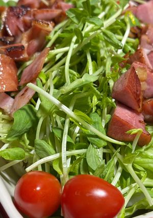 ベーコン水菜達のサラダ(身内専用)-レシピのメイン写真