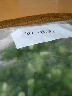 万能ネギのストック(冷凍)-レシピのメイン写真
