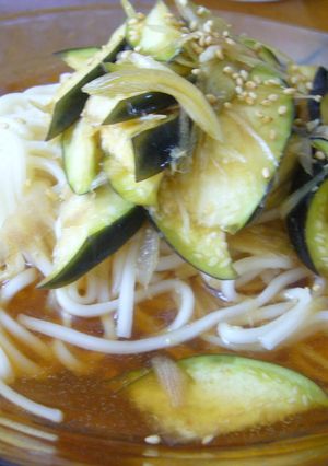 なすの簡単冷やしぶっかけうどん-レシピのメイン写真