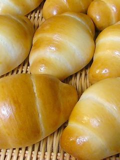 基本のロールパン-レシピのメイン写真