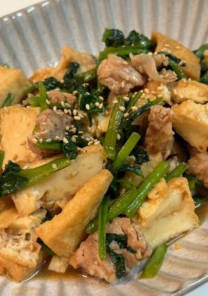 ☆簡単！厚揚げと小松菜 豚肉の炒め物-レシピのメイン写真