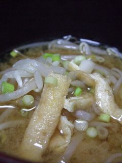 たっぷりもやしの味噌汁♪-レシピのメイン写真