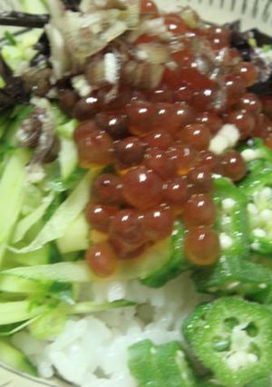 秋鮭の手作りイクラ丼-レシピのメイン写真