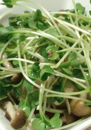 ☆豆腐とカイワレ大根のサラダ☆-レシピのメイン写真