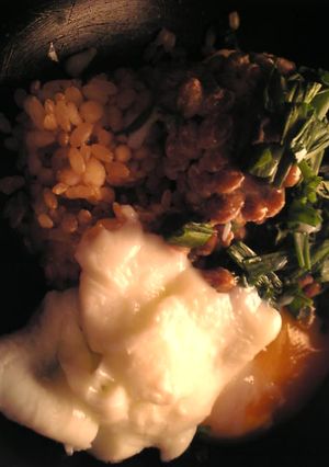納豆と葱と玄米と温泉卵の丼-レシピのメイン写真