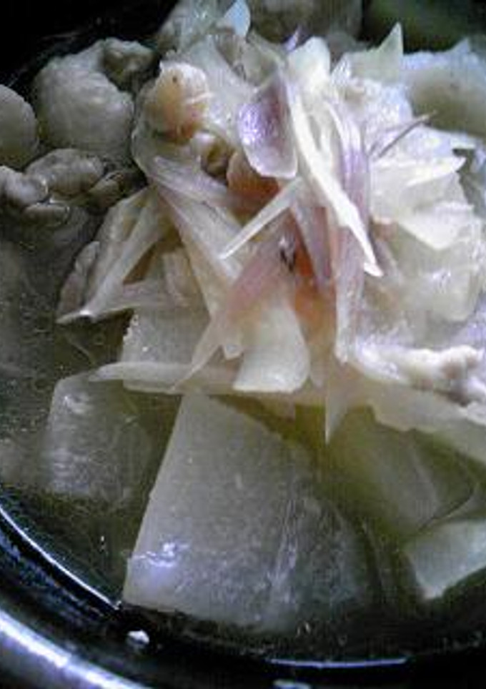 とり肉と冬瓜のとろ煮-レシピのメイン写真