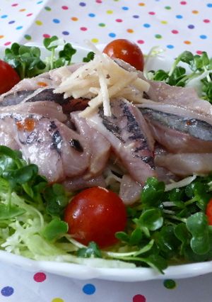 鯵の和風マリネで野菜サラダ-レシピのメイン写真