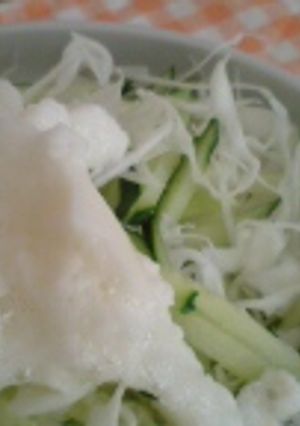 とろろサラダ-レシピのメイン写真