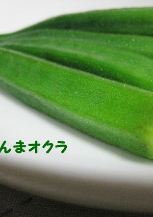 そのまんまオクラ♪-レシピのメイン写真