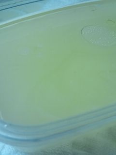 鶏ガラスープ-レシピのメイン写真