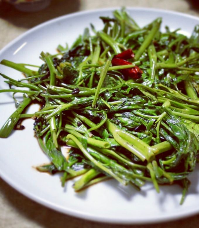 空芯菜5キロ 空芯菜 約5kg 公式通販 【公式通販】