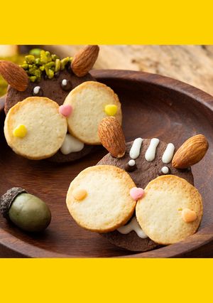 チョコリスクッキー-レシピのメイン写真