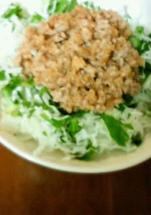 肉味噌でアレンジサラダ-レシピのメイン写真