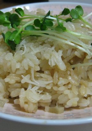 生姜とホタテ缶の炊き込みご飯-レシピのメイン写真