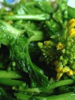 菜の花(かき菜)炒め-レシピのメイン写真