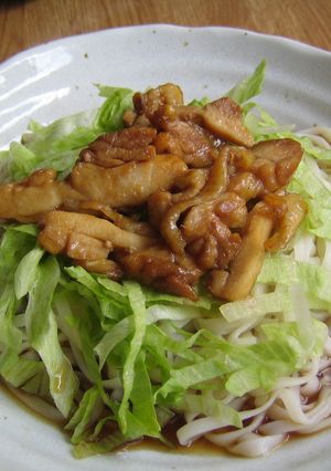 照り焼きのっけうどん-レシピのメイン写真