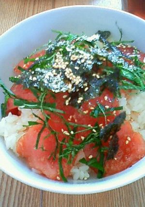 お家でまぐろの漬け丼-レシピのメイン写真