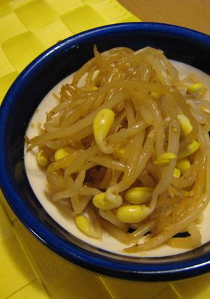 さっぱり味☆もやしのゴマ胡麻ナムル-レシピのメイン写真