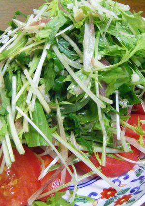 薬味サラダ-レシピのメイン写真