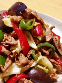 パパッと炒めて♪なすとキャベツの回鍋肉-レシピのメイン写真
