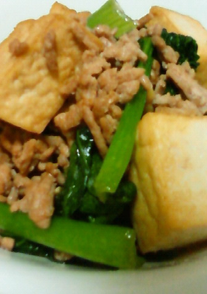 厚揚げとひき肉の中華炒め-レシピのメイン写真