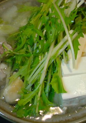 塩鍋-レシピのメイン写真