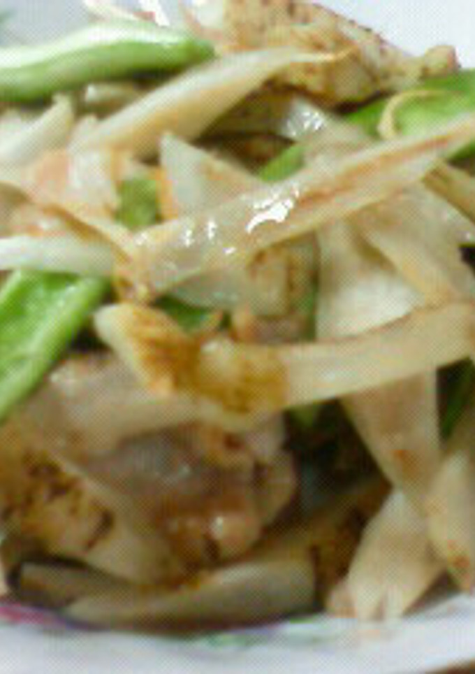 豚肉と牛蒡の塩炒め-レシピのメイン写真
