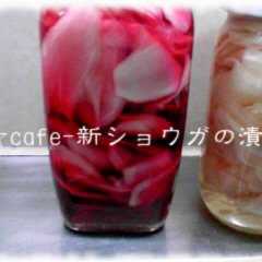 รูปของ 新生姜☆甘酢生姜漬け