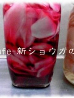 新生姜☆甘酢生姜漬け-レシピのメイン写真