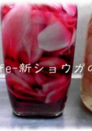 新生姜☆甘酢生姜漬け-レシピのメイン写真