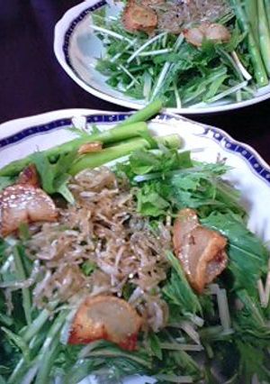 カリカリ水菜のサラダ-レシピのメイン写真