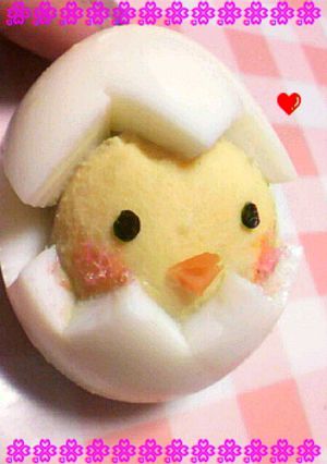 ゆで卵から産まれちゃった☆キャラ弁にも☆-レシピのメイン写真