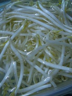 もやしの保存-レシピのメイン写真