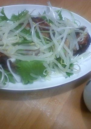 安いムネ肉ともやしでボリュームたっぷり！-レシピのメイン写真