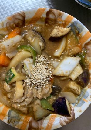 さっぱりオイ金平味豚こま回鍋肉青椒肉絲風-レシピのメイン写真