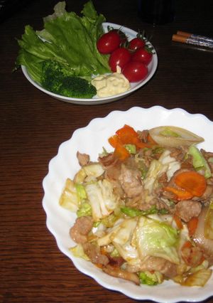 肉野菜炒めKAKAAKOバージョン-レシピのメイン写真