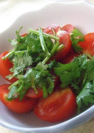 トマトの香菜サラダ-レシピのメイン写真