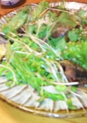 秋刀魚の中華風サラダ仕立て-レシピのメイン写真