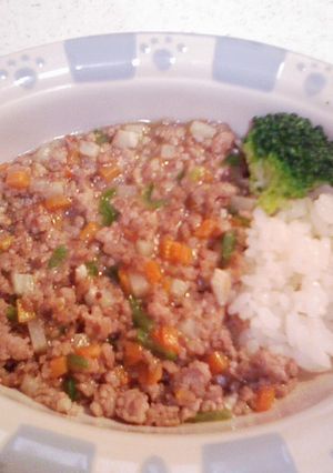 犬ご飯（チンジャオロース丼）-レシピのメイン写真