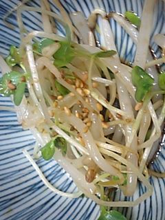 もやしとカイワレサラダ-レシピのメイン写真