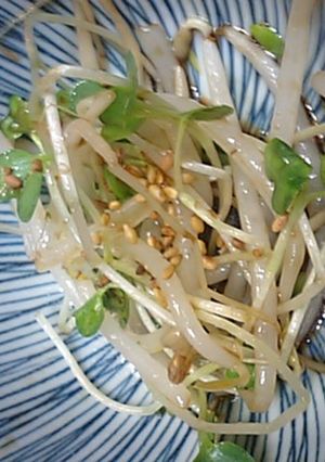 もやしとカイワレサラダ-レシピのメイン写真