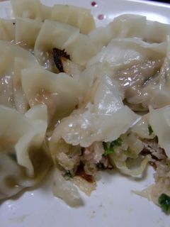 野菜いっぱいのさくさくぎょうざ-レシピのメイン写真