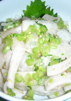 浅漬け大根（梅酢）-レシピのメイン写真
