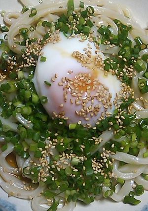 簡単温たまとネギのぶっかけうどん-レシピのメイン写真