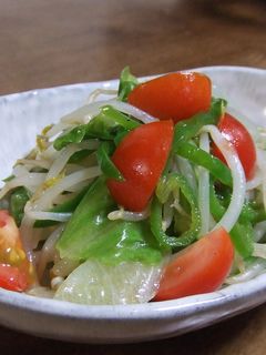 サラダな野菜炒め-レシピのメイン写真
