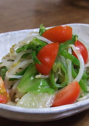 サラダな野菜炒め-レシピのメイン写真